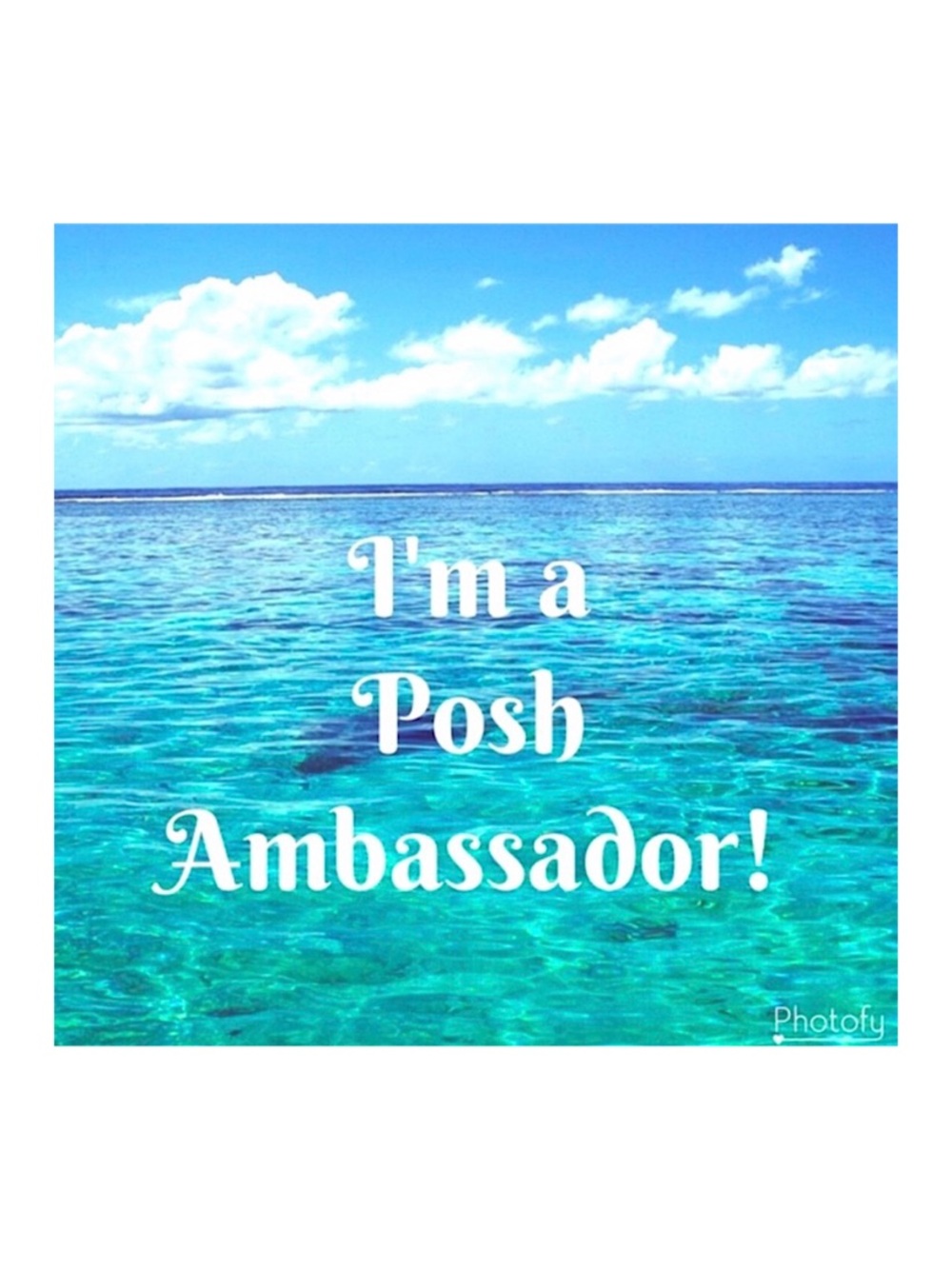 Buy with Confidence! Im a Posh Ambassador with a Five Star Rating! - Picture 2 of 10